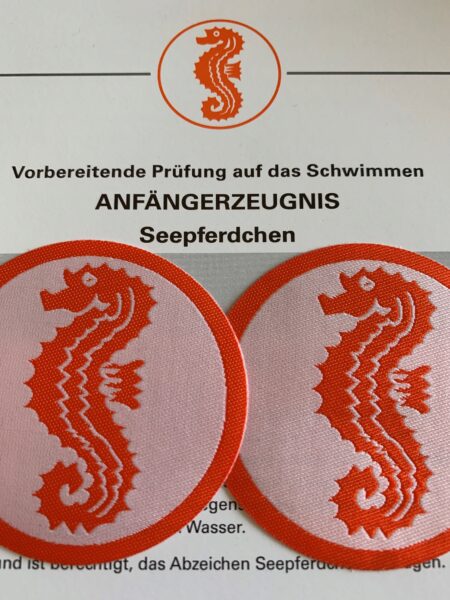 Crashkurs Seepferdle